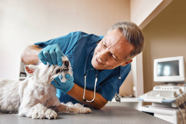 Best Weekend Emergency Dentist in Langhorne Manor, PA